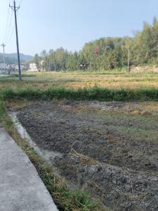 通城县石南镇：无人机“上岗”洒药，助力农业生产