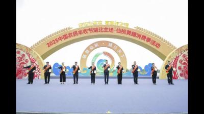 视频-荒山养“飞鸡” 通城郑普雄获评“湖北省十佳农民”