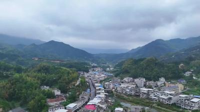 视频-通城县关刀镇道上村：“扫黄打非”扬正气 共筑文化晴朗天