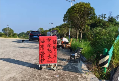 通城县塘湖镇：守护“黄金果”，筑牢油茶采摘秩序屏障