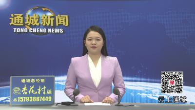 视频-通城县举行2025年新引进人才安家费发放仪式 