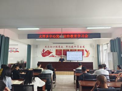 通城县大坪中心完小开展法治教育培训活动