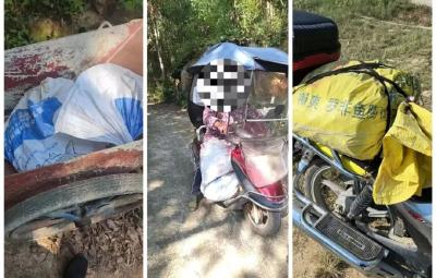 村民私采油茶果 民警及时处置挽损失