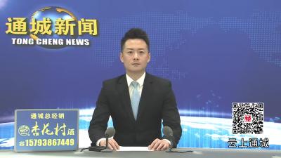 视频-通城32万亩油茶喜迎丰收