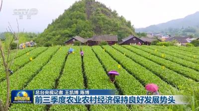 前三季度农业农村经济保持良好发展势头