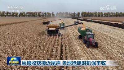 秋粮收获接近尾声 各地抢抓时机保丰收