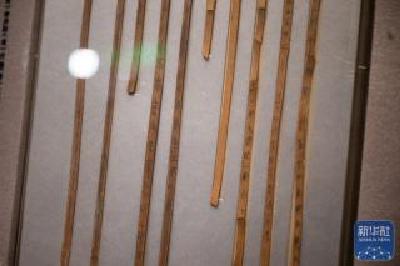 我国迄今发现时代最早的竹简在湖北展出