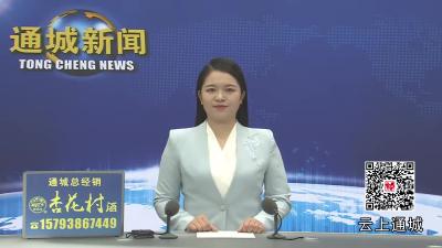 视频-通城县召开三季度GDP分析和四季度投资运行工作研判会