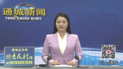 视频-杨修伟率队赴广东省招商考察