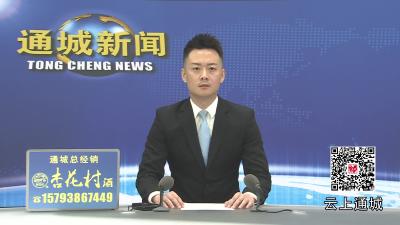 视频-通城举行上海、宁波通城商会返乡考察座谈会 