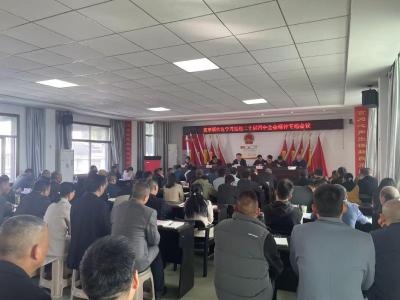 通城县麦市镇组织学习党的二十届四中全会精神