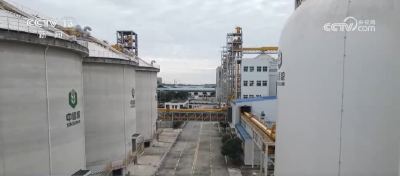 “白胖子”储粮、“AI全自动”入库 大国粮仓科技范儿十足