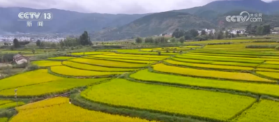 农文旅添彩乡村好“丰”光 秋收景象成为吸引游客的“流量密码”