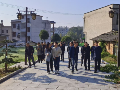 通城县石南镇开展人居环境整治工作总结会