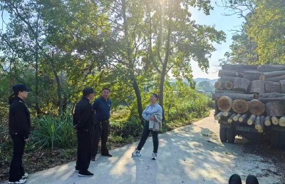 通城县石南镇：开展乱砍乱伐整治行动