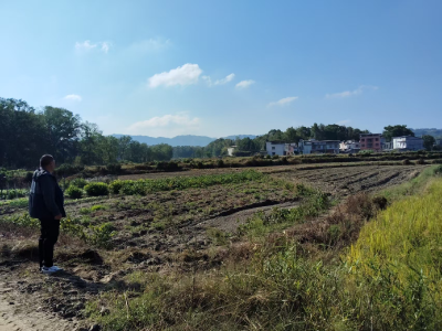 通城县石南镇虎岩村秸秆禁烧工作督办