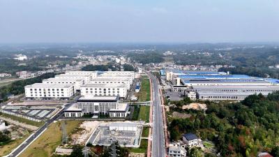 湖北通城：“城市插座”赋能企业加速发展