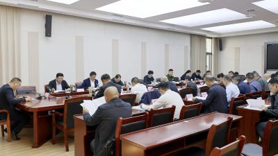 2025年第17次通城县政府常务会议召开