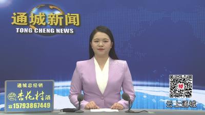 视频-通城县塘湖镇召开平安法治建设工作推进会 