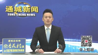 视频-通城五里镇木材市场：“小木头” 撬动大产业 家门口铺就致富路