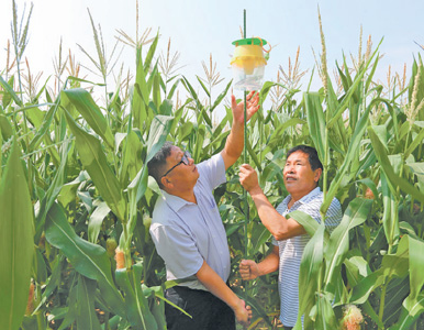 从种到收优质服务 农民增收后劲十足 