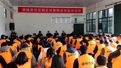 视频-通城县司法局开展社区矫正对象职业技能培训 