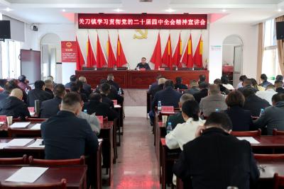 阮仕林到关刀镇宣讲党的二十届四中全会精神