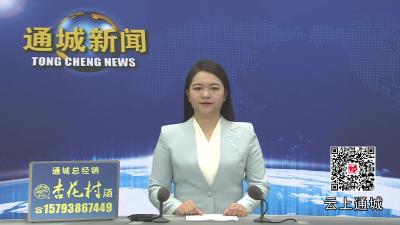 视频-通城县领导到关刀镇宣讲党的二十届四中全会精神 