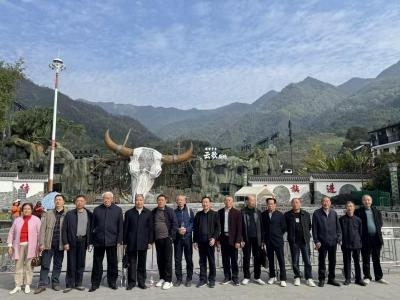 通城县石南镇开展“康乐重阳 情暖银龄”主题活动