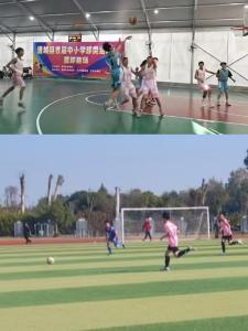 通城县石南镇：绿茵篮下齐拼搏 石南学子展风采