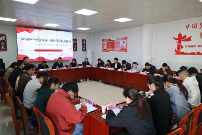 通城县塘湖镇专题研讨党的二十届四中全会精神 