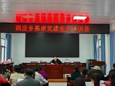 通城县四庄乡：党建业务培训强根基 岗位建功赋能促提升