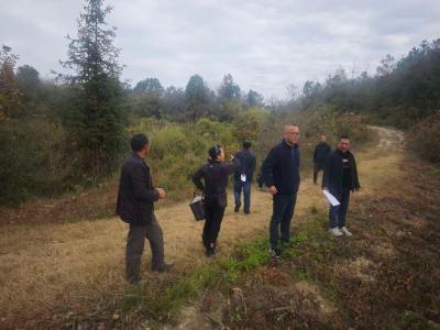 通城县石南镇推进中药材验收工作