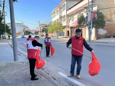 通城县石南镇：清洁家园焕新颜 美丽环境护民生