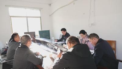 杨修伟到麦市镇调研督办重点工作