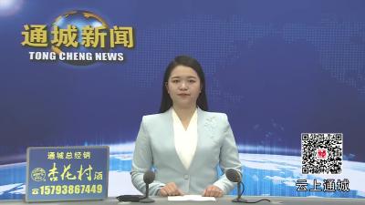 视频-贯彻四中全会精神在基层 通城县马港镇高峰村：“清水”入户 “污水”归位 涓涓清流润民心