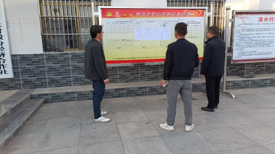 通城县四庄乡：以个案整改推动组级财务全域规范