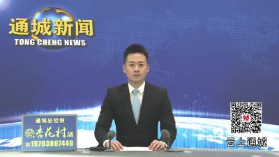 视频-通城县举行2025年主题“军事日”活动暨国防教育辅导报告会