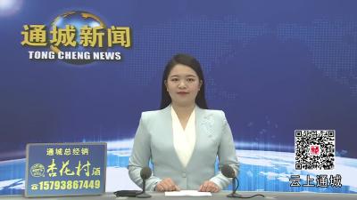 视频-贯彻四中全会精神在基层 通城县马港镇：“四好农村路”畅通乡村振兴“血脉”