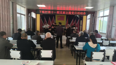 通城县大坪乡下畈村：支部主题党日创新形式显特色 凝心聚力谱新篇