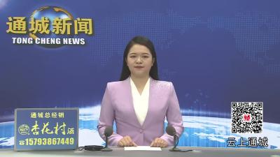 视频-【隽商回归 创业兴业】通城县鑫彬源新材料科技有限公司：小砂纸“磨”出归雁创业路 微工厂托起村民致富梦