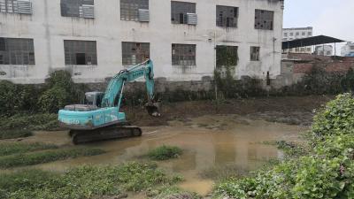 通城县开展秀水河“清四乱”专项整治行动