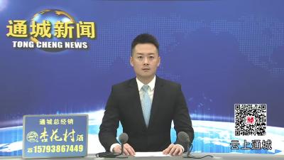 视频-阮仕林到关刀镇宣讲党的二十届四中全会精神