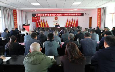 杨修伟到麦市镇宣讲党的二十届四中全会精神