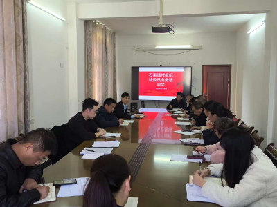 通城县石南镇召开纪检委员工作会议