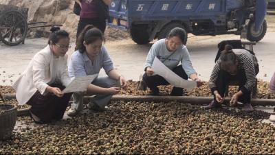 通城县五里镇：政策宣讲润民心 惠民服务“零距离”