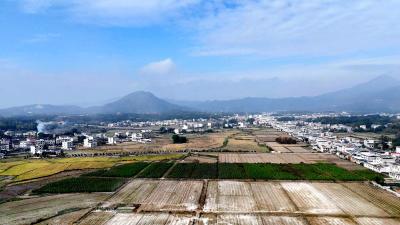 通城：全域国土综合整治的“湖北样板”如何炼成？