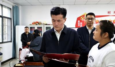 杨修伟到麦市镇调研督办群众身边不正之风和腐败问题专项整治工作