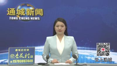 视频-黄建平到大坪乡宣讲党的二十届四中全会精神