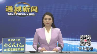 视频-通城县启航教育发展基金会开展“企业家进校园”活动 